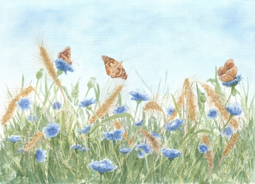 Postkarte DIN-A5 Aquarell Kunst Druck Kunstdruck Schmetterlinge Blumen Blumenwiese Wiese Schmetterling